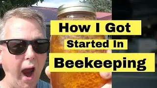 How I Got Started In Beekeeping - My Personal Story