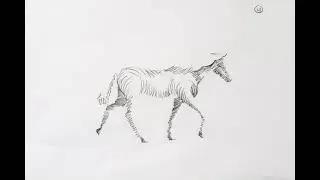 Frame by Frame Animation Example of Horse into a Hotdog