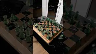 Громадные шахматы для Литвинова 