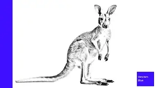 Loading the Verulam Blue Virtual Machine - CCA175 Exam Prep Series -  30 Fully Solved Problems