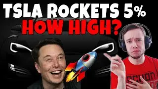 TESLA RALLIES 5%!! HOW HIGH WILL WE GO?