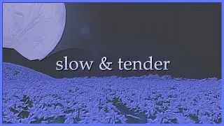 WereWING - slow and tender (visualizer)