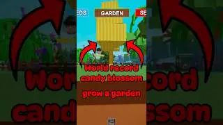 WORLD RECORD CANDY BLOSSOM IN GROW A GARDEN 🍬 