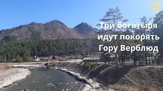 Начинаем поход в гору Верблюд!