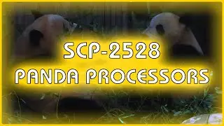 SCP 2528 - Panda Processors