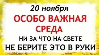 20 ноября Федотов День. Что нельзя делать 20 ноября. Народные Приметы и Традиции Дня.