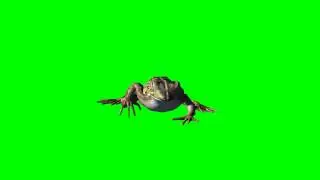 walking frog - free green screen effects - free use