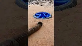 How to make snake trap #snake