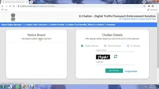 Pay Traffic Penalty-Fine Online