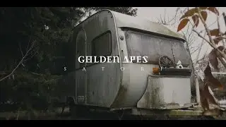 GOLDEN APES 