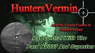 Air Rifle Hunting Rat Control With The Pard NV007 And Superten