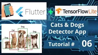 Flutter TensorFlow Lite Tutorial - Flutter iOS & Android Machine Learning Projects Full Course 2021