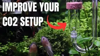 Top 10 Aquarium CO2 MISTAKES MADE!