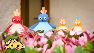 Twirlywoos Mega Compilation For Kids | WildBrain Zigzag