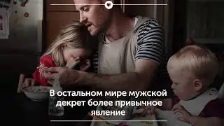 Как устроен мужской декрет