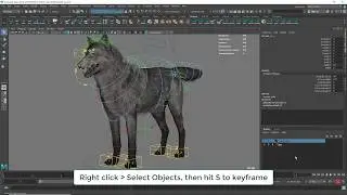 Maya: easy way to select all control curves and keyframe