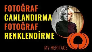 Fotoğraf Canlandırma Nasıl Yapılır? Fotoğraf Renklendirme | 