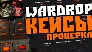 WarDrop - Кейсы WARFACE Проверка