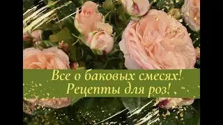 Все о баковых смесях! Рецепты для роз!