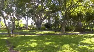 An Oasis in Downtown Honolulu