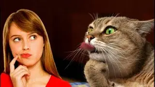 - У всех есть, а у меня нет! Но где взять кошку? - для Жанны это стало идеей фикс