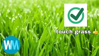 top 3 reasons to touch grass