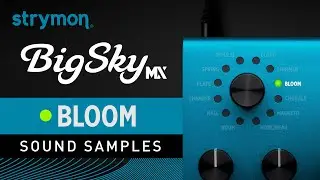 Strymon BigSky MX | Sound Samples | Bloom Reverbs