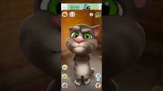 Talking Tom Cat #shorts