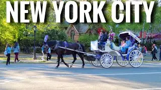 ⁴ᴷ⁶⁰ Central Park New York City Walk in Spring 2021🌸5th Avenue to Sheep Meadow - ASMR (May 1, 2021)