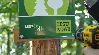 Obnova porostů v Krušných horách chrání přírodu i návštěvníky