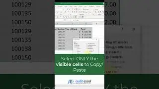 Select Visible cells tool built into Excel