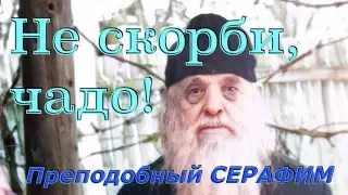 Не скорби, чадо, все пройдет! Преподобный СЕРАФИМ (Романцов)