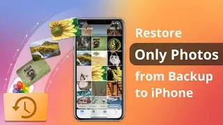 [2 Ways] How to Restore Only Photos from Backup to iPhone 2023