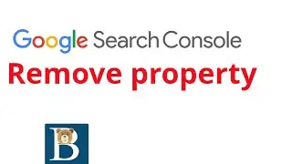 Google Search Console delete website property