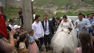 Свадьба с. Трисанчи 23.07.2019