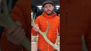 Turning a red deer antler into draw handles for my camper van 🦌 🚐 #vanbuild #antlers #craft