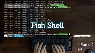 My Fish shell workflow for coding