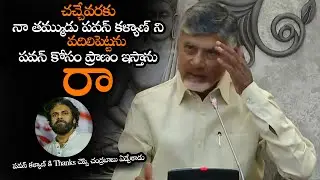 చచ్చేవరకు తమ్ముడు పవన్ కళ్యాణ్ ని వదిలిపెట్టను || Chandrababu Emotional About Pawan Kalyan || NS