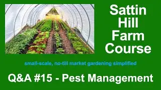 Sattin Hill Farm Course Q&A #15 - Pest Management