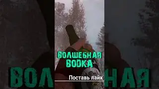 S.T.A.L.K.E.R - Волшебная водка. Рассказчик Сидорович