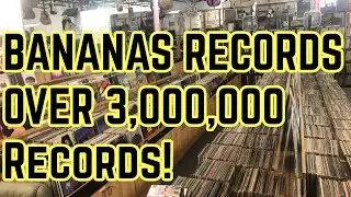 Bananas Records Tour OVER 3 MILLION RECORDS! Saint Petersburg, Florida