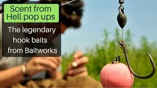 Carp fishing - Baitworks Scent from Hell pop ups