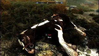 Skyrim funny moments(weird bugs/glitches) randomness.