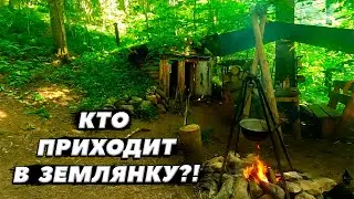 Теперь знаем кто к нам приходит | ЗЕМЛЯНКА | ЛЕСНОЙ ДОМ | ИЗБА | FOREST HOUSE | DUGOUT | HUT