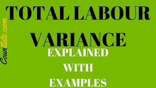 Total Labour Variance | Explained with Examples