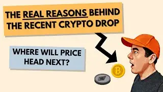 The REAL Reason Behind The Latest Crypto Price Crash