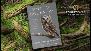 #PouredOver: Jennifer Ackerman on What an Owl Knows