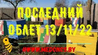 Последний облет пчел в этом году состоялся на месяц позже обычного.