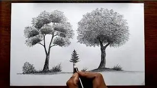 how to draw a tree | tree drawing