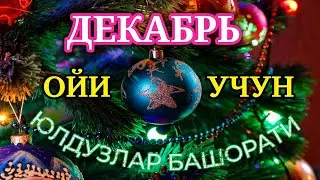 ДЕКАБРЬ ОЙИ УЧУН ЮЛДУЗЛАР БАШОРАТИ 2023 НИМА КУТАЁТГАНИНИ БИЛИБ ОЛИНГ ЎТКАЗИБ ЮБОРМАНГ